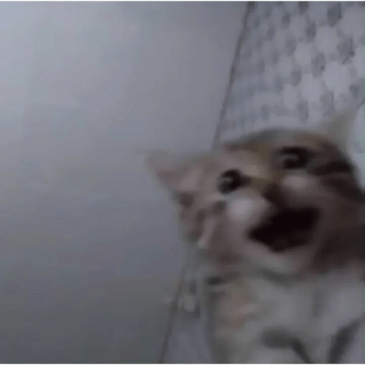 Uwu 16