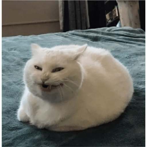 Uwu 6