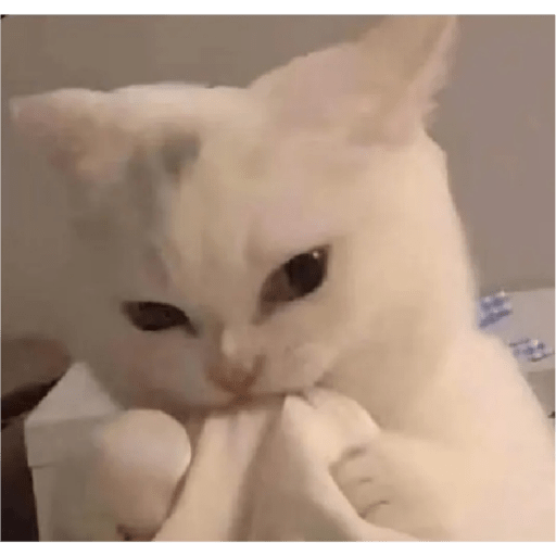 Uwu 7