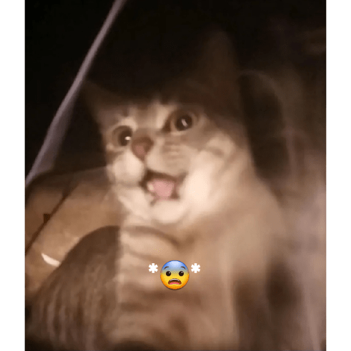 Uwu 8
