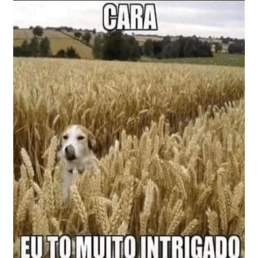 Pack do mago 10