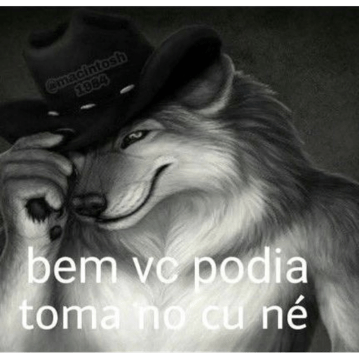 Pack do mago 11