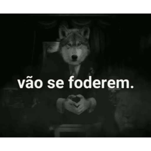 Pack do mago 25