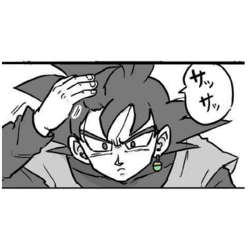 Goku's Black 13