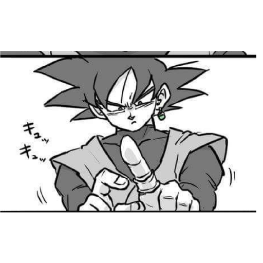 Goku's Black 14