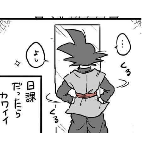 Goku's Black 15