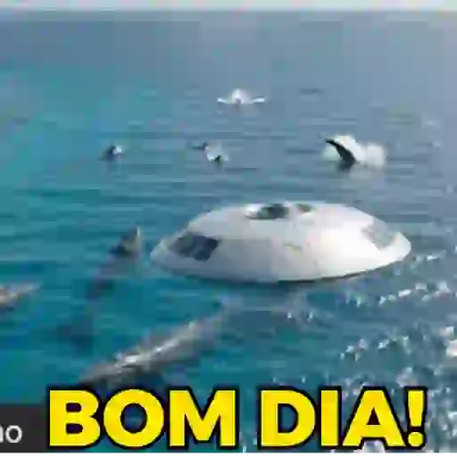 Novíssimo  12