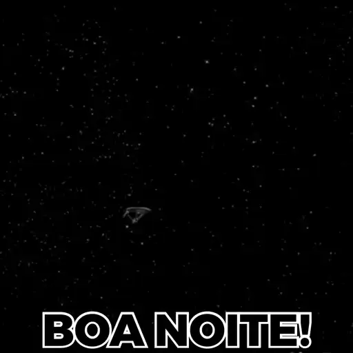 Novíssimo  13
