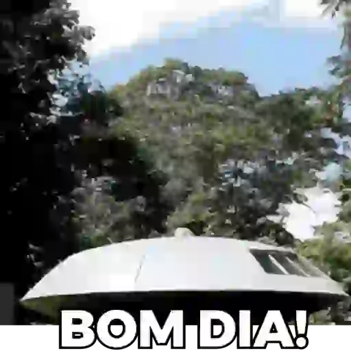 Novíssimo  11