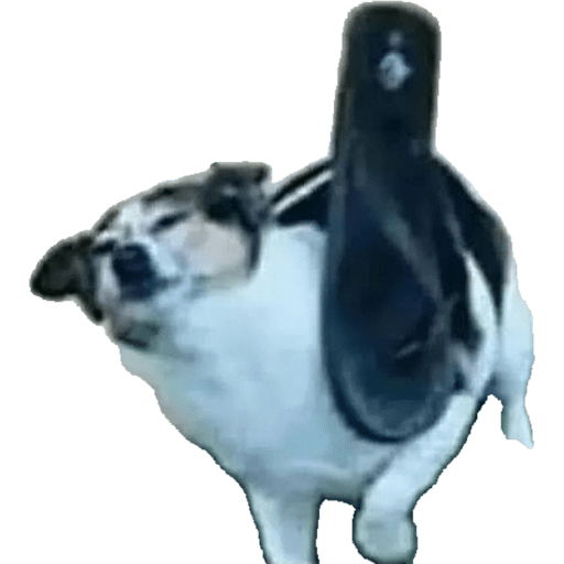 Animalitos  20