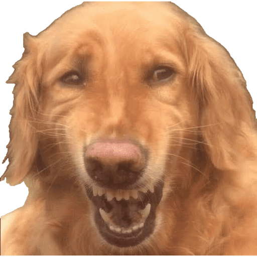 Animalitos  25