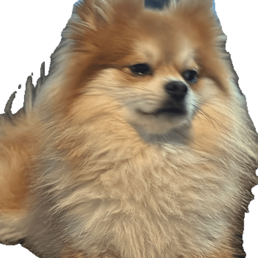 Animalitos  9