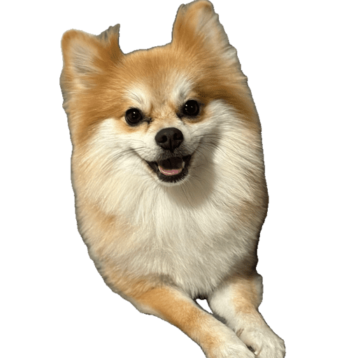 Animalitos  8