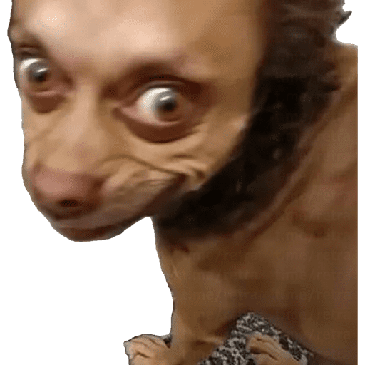 Animalitos  3