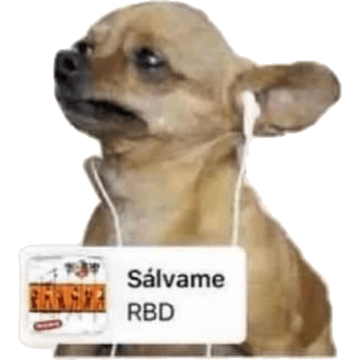Animalitos  4