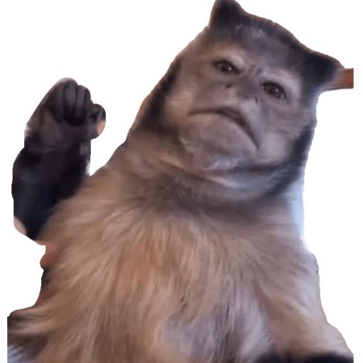 Animalitos  14
