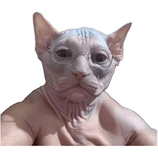 Animalitos  15