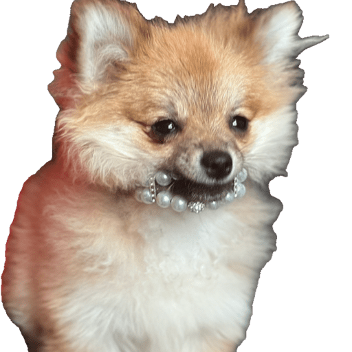 Animalitos  7
