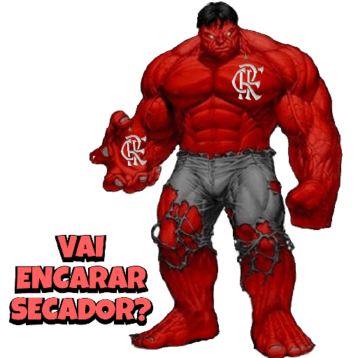 MASCOTES DO MENGÃO 9