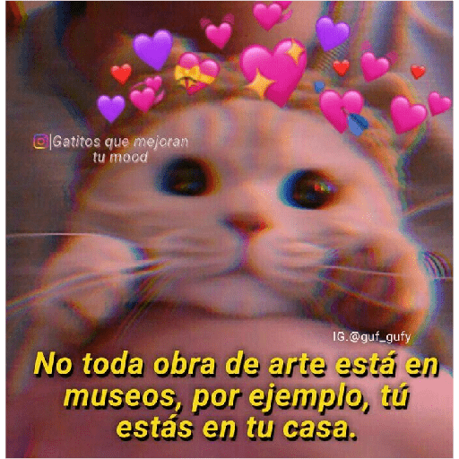 Michis Gatos Frases Conquista 12