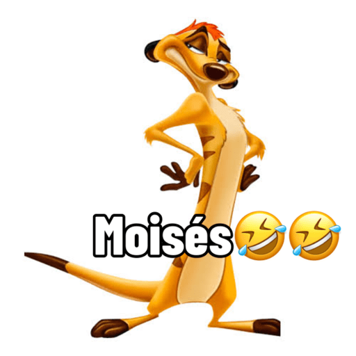 Hjdjsjsjsjs 29
