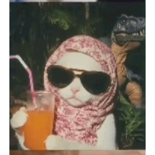 TikTok  12
