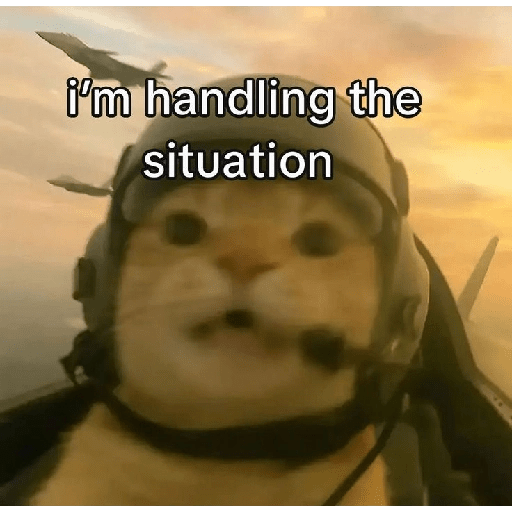 TikTok  22