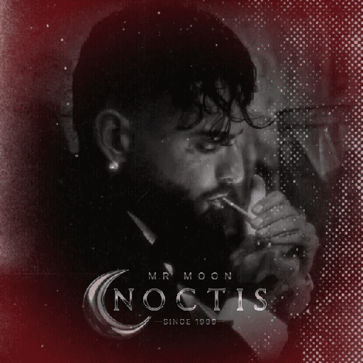 Noctis - Maluma  5