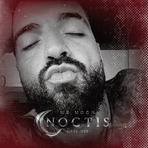Noctis - Maluma  6