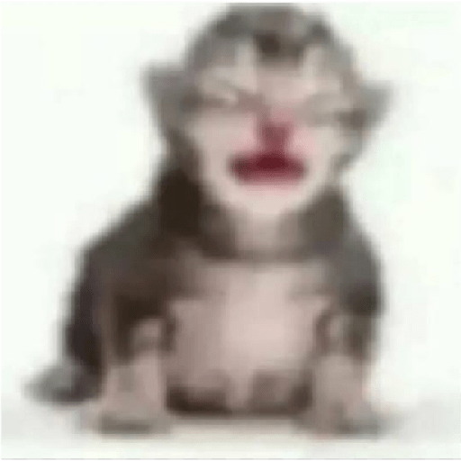 Shitpost 3.0 29