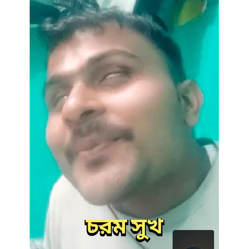 Bengali Pack 18