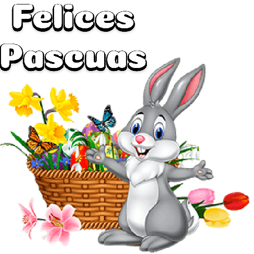 BuenosDías4 14
