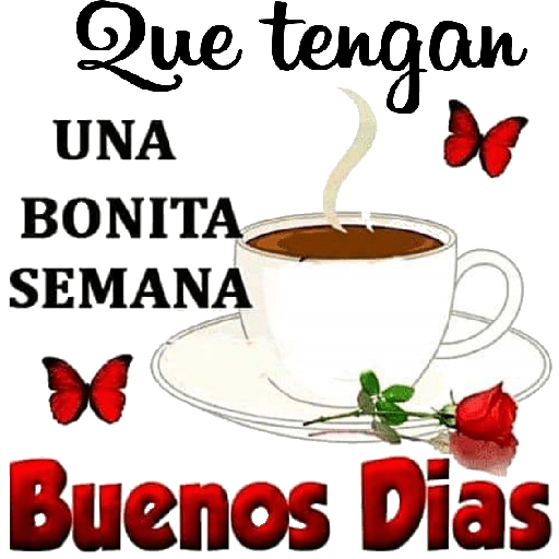 BuenosDías4 11