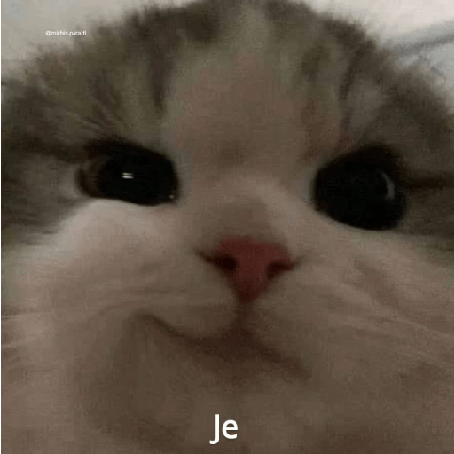 Cariño <3 26