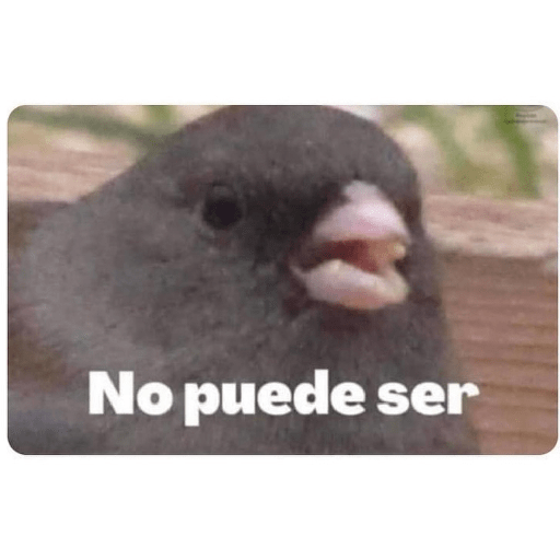 Ola perras😡 12