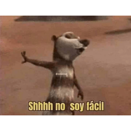 Ola perras😡 10