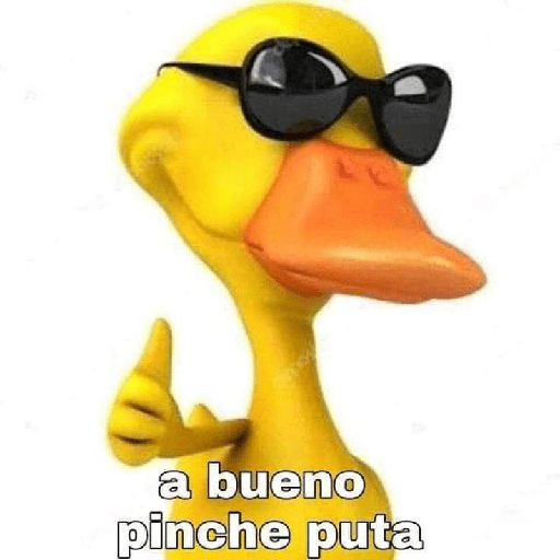 Ola perras😡 21