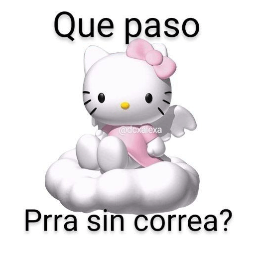 Ola perras😡 17