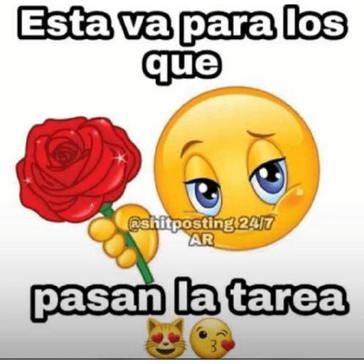 Ola perras😡 24