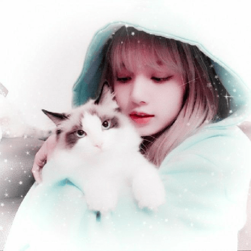 ପ₊˚ฅ idol grl — cats pfps for the sqaud 😼😼 ✧ ✧ ✧ ✧ ✧ ✧