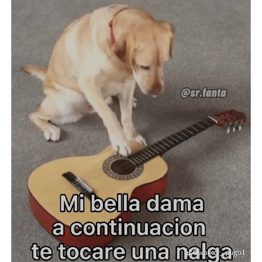 Momazos Diego 9