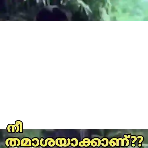 Malayalam Movie Cuts 18 25