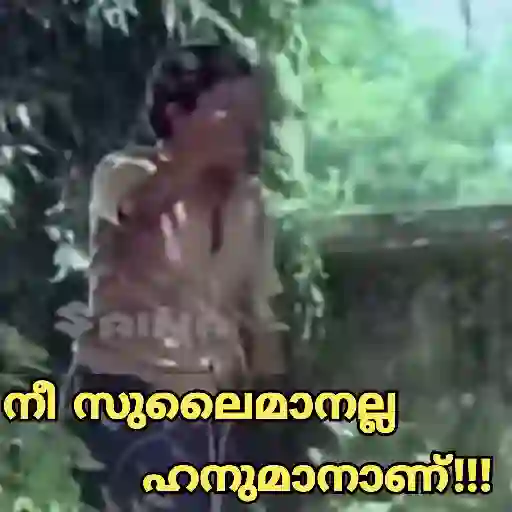 Malayalam Movie Cuts 18 23