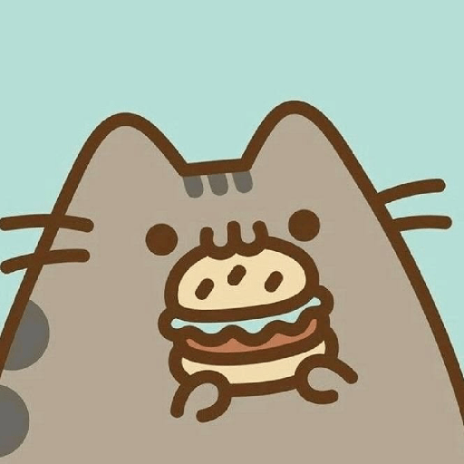 Cat Pusheen 11