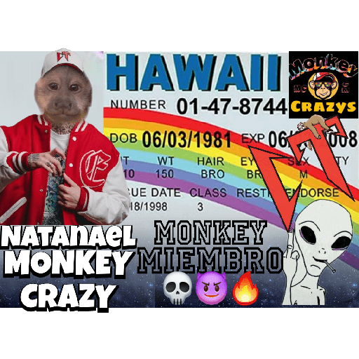 🔥🐒MonkeyCrazy🐒🔥 金Montana金