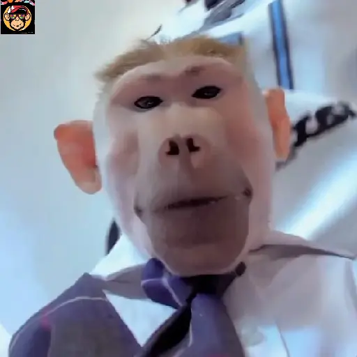 🔥🐒MonkeyCrazy🐒🔥金Montana金 20