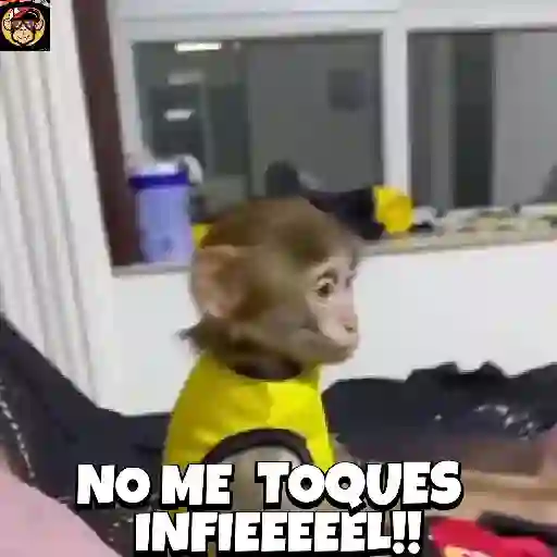 🔥🐒MonkeyCrazy🐒🔥金Montana金 16