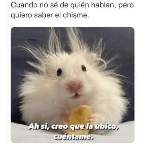 Variado 11