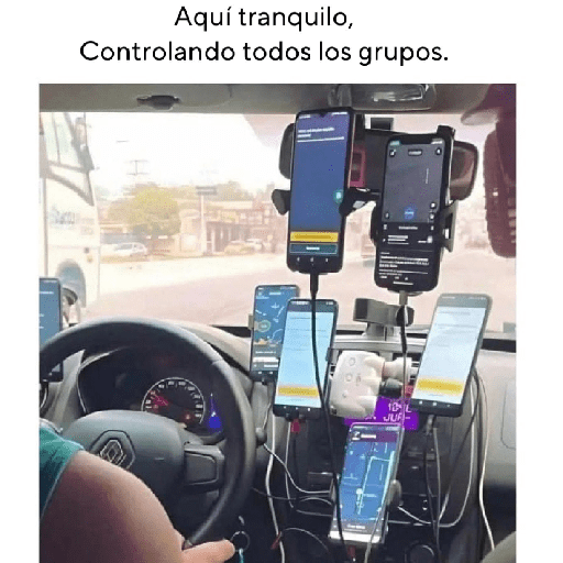 Variado 12