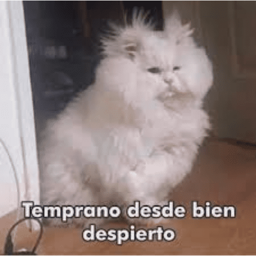 Variado 3